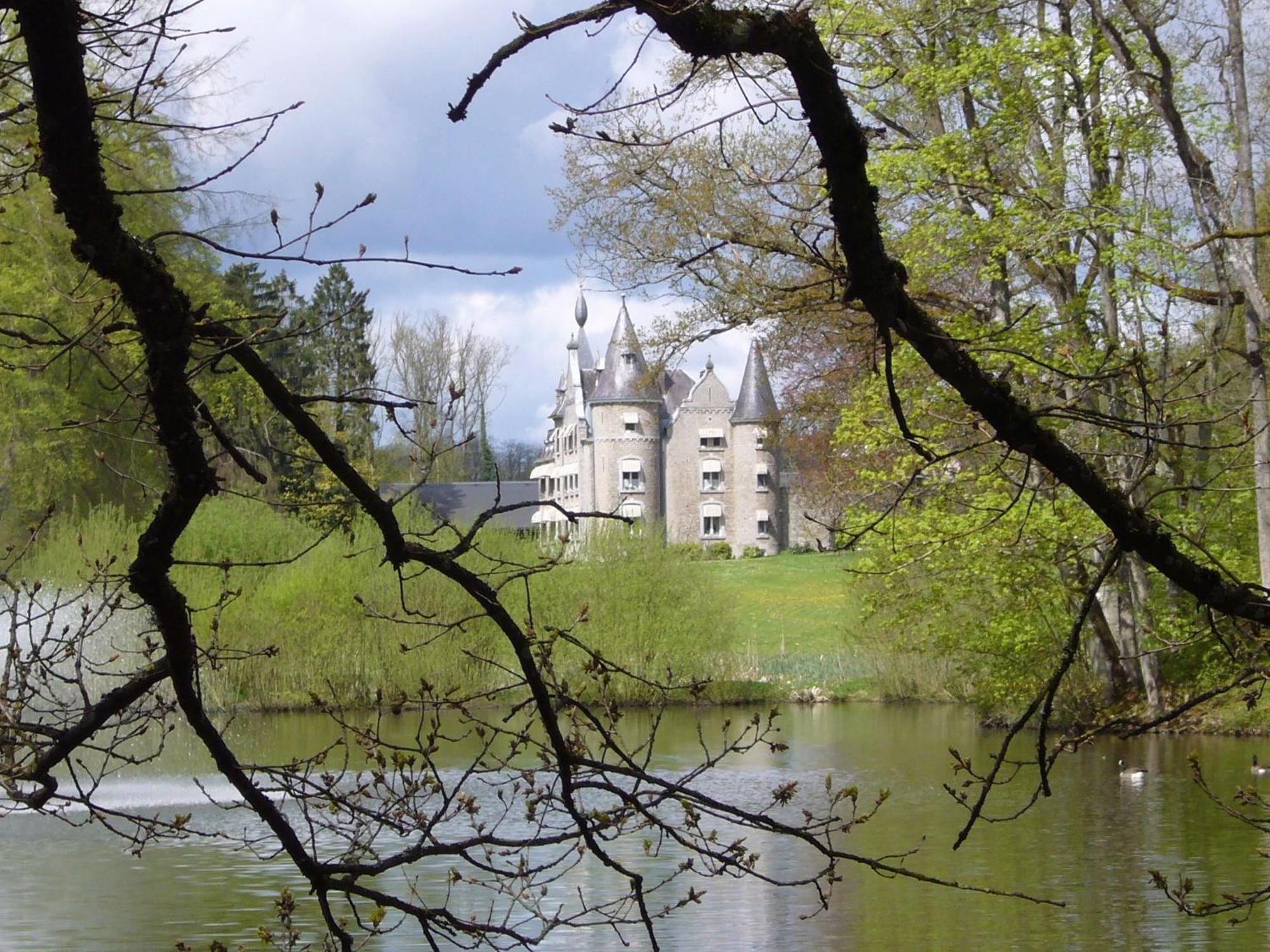 Chateau D'Hassonville Aye Dış mekan fotoğraf